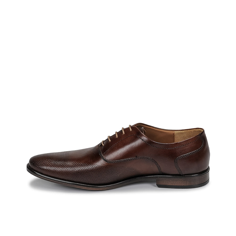 Andre Chaussure Classique Homme Perford Marron - 4