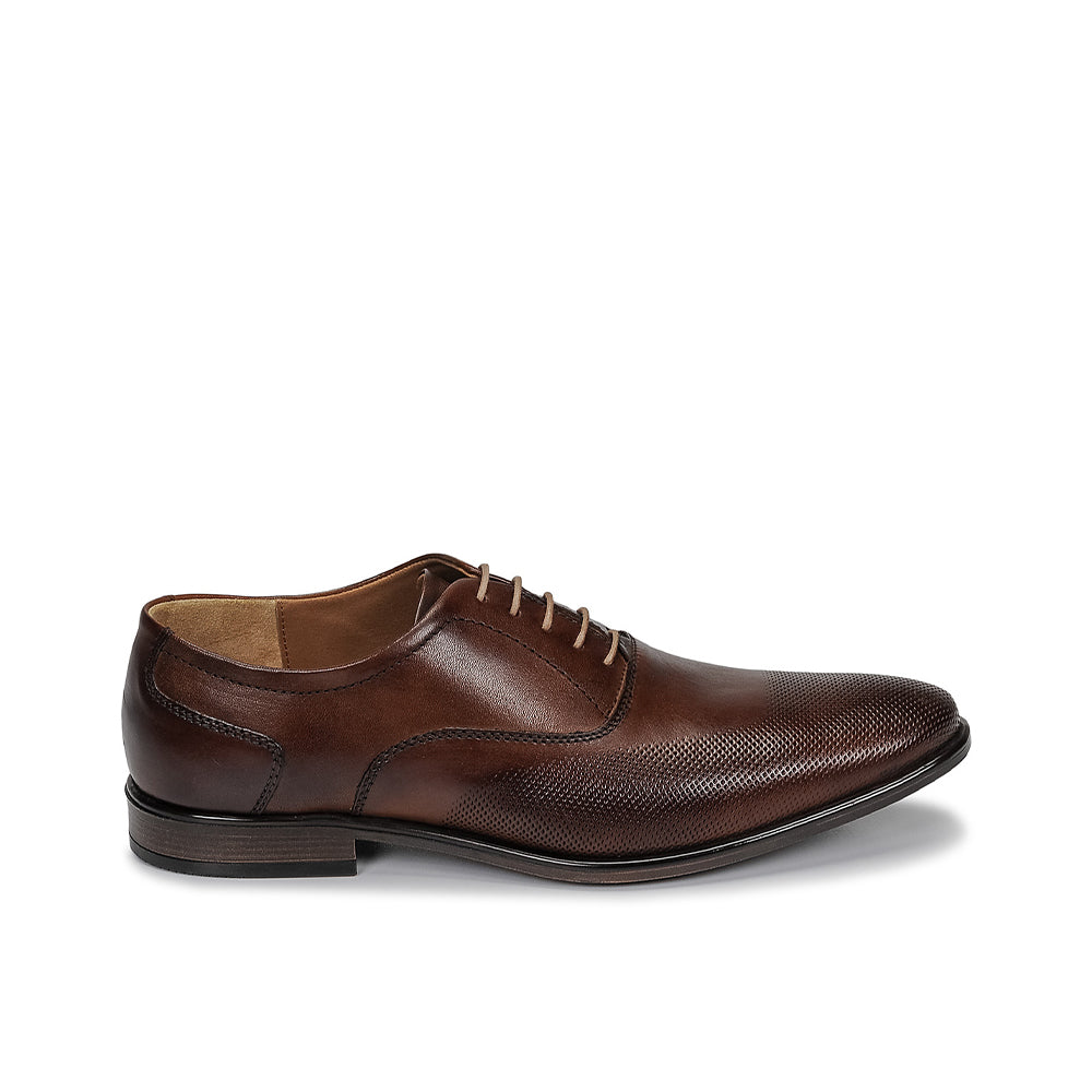 Andre Chaussure Classique Homme Perford Marron